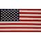 Valley Forge Valley Forge American Flag 29 in. H X 50 in. W 99000-1 - alternate 1